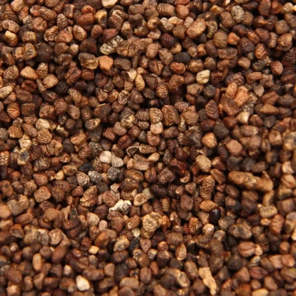 Cardamom Seeds - Image 3