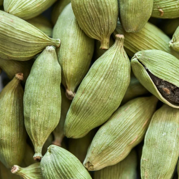green cardamom online