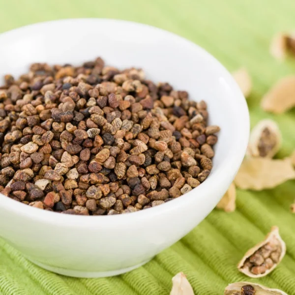 cardamom seeds online